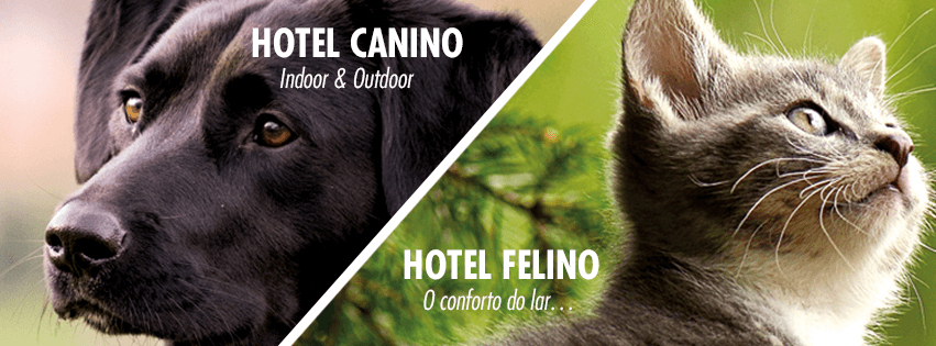 Pet Hotel Gaia - Canine and Feline Hotel