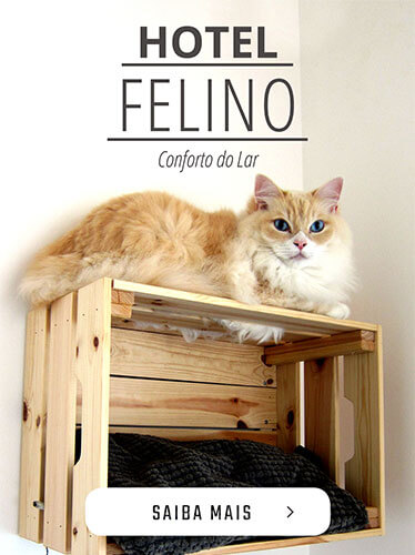 Hotel Felino