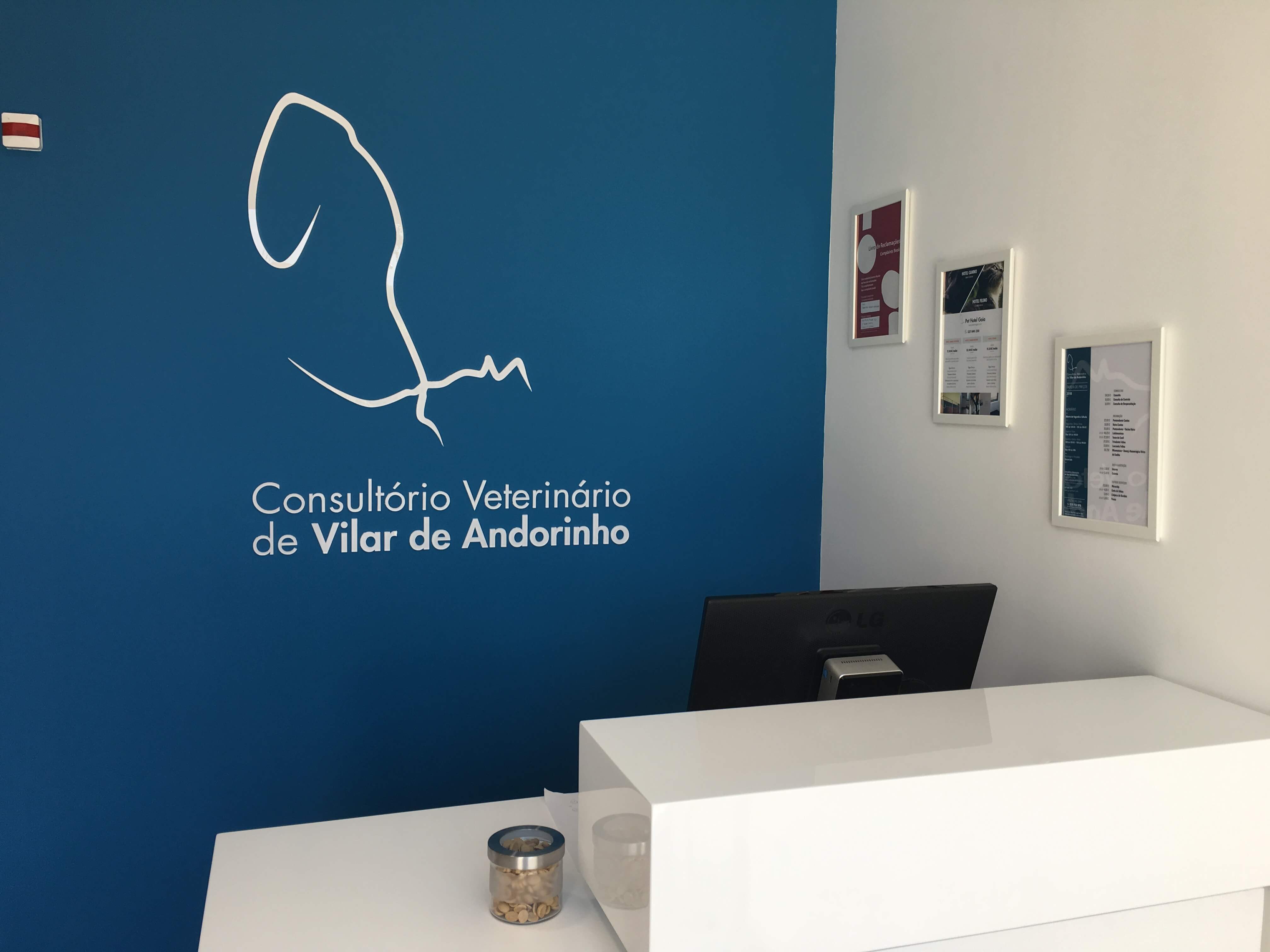 Vilar de Andorinho Veterinary Office