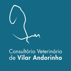 Consultório Veterinário de Vilar de Andorinho