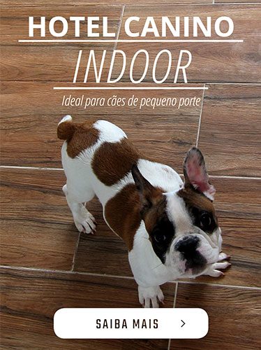 Hotel Canino Indoor